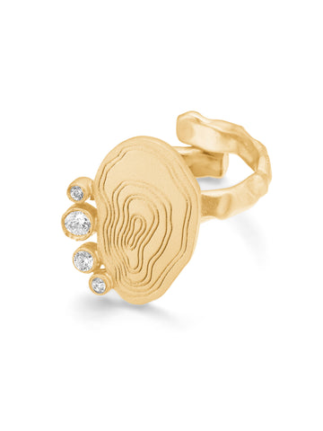NÜ Cave No. 3 Ring Jewellery 011 Gold